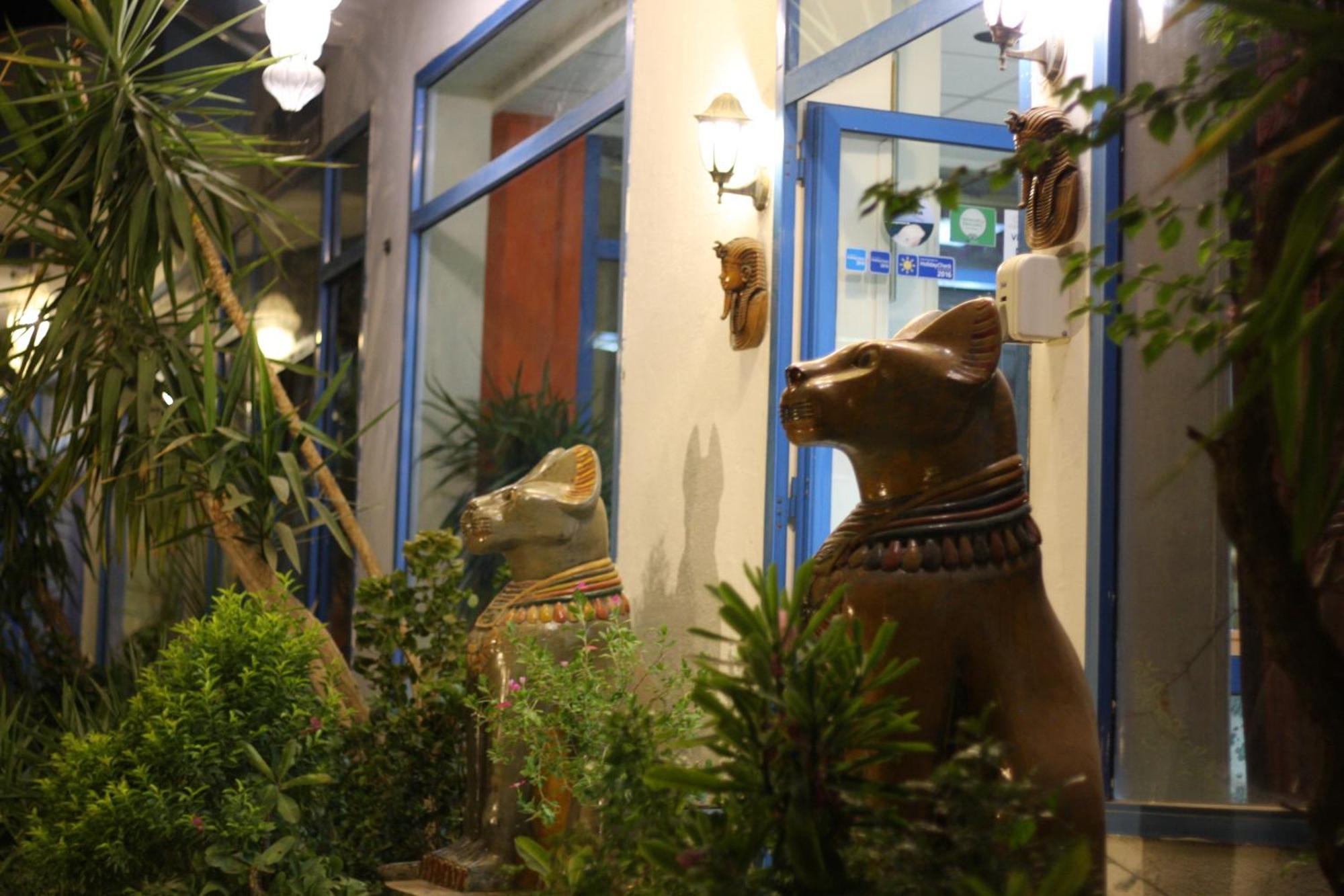 El Gezira Garden Hotel ルクソール エクステリア 写真