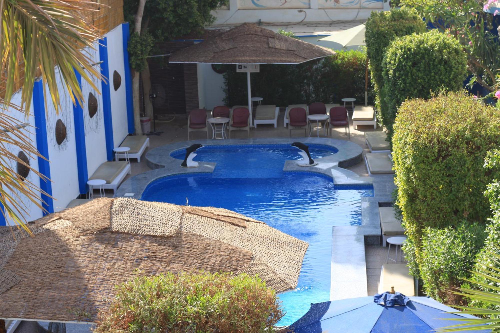 El Gezira Garden Hotel ルクソール エクステリア 写真