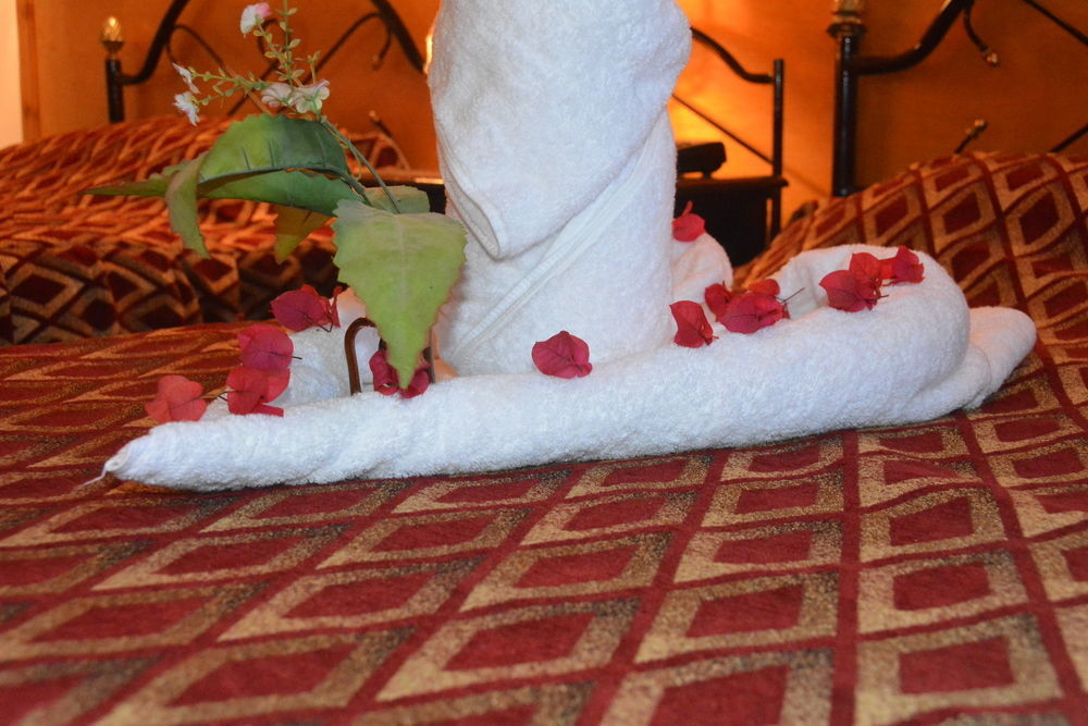 El Gezira Garden Hotel ルクソール エクステリア 写真