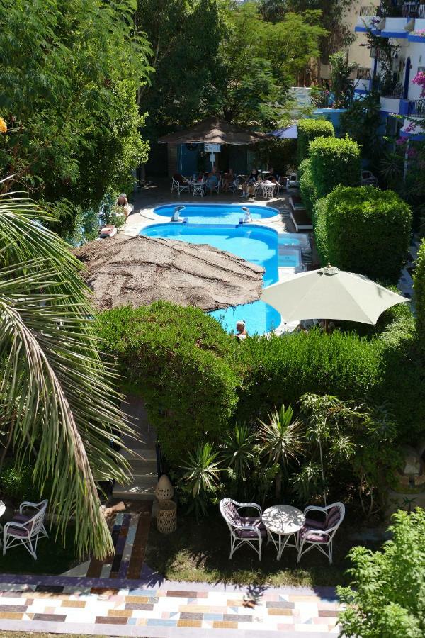 El Gezira Garden Hotel ルクソール エクステリア 写真